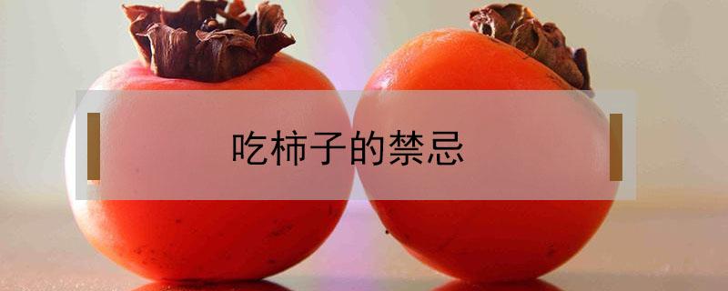 吃柿子的禁忌 吃柿子的禁忌有哪些