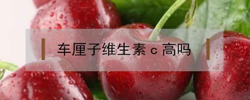 车厘子维生素c高吗