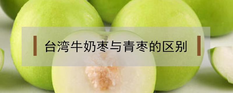 台湾牛奶枣与青枣的区别（台湾牛奶青枣好不好吃）