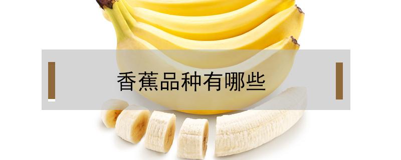 香蕉品种有哪些 香蕉品种有哪些贵州
