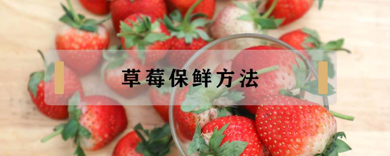 草莓保鲜方法