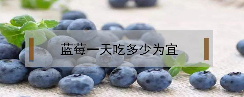 蓝莓一天吃多少为宜（一岁宝宝蓝莓一天吃多少为宜）