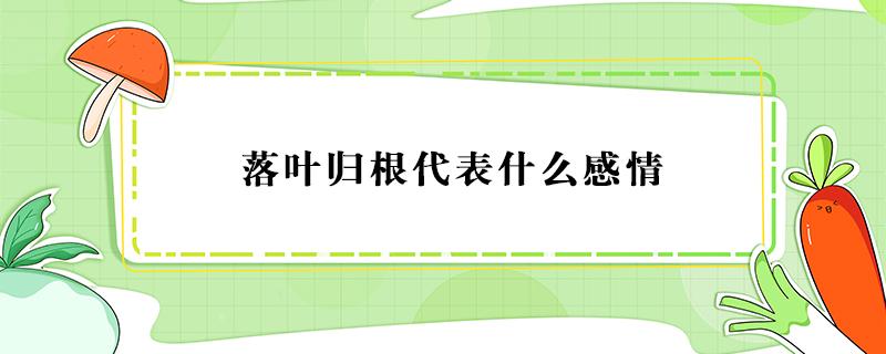 落叶归根代表什么感情（落叶归根的感情含义）