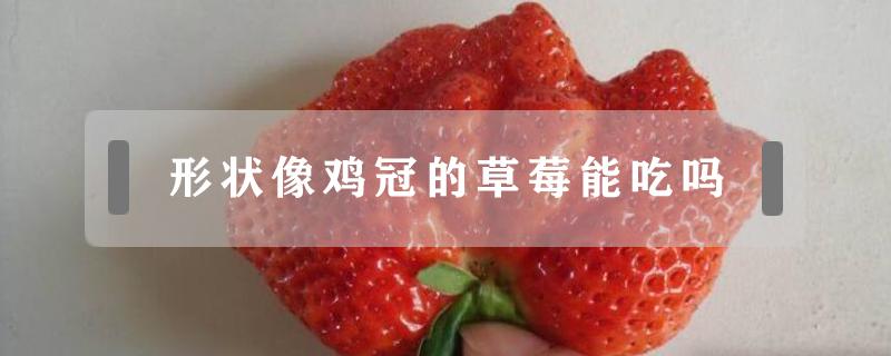 形状像鸡冠的草莓能吃吗 鸡冠状草莓是什么原因