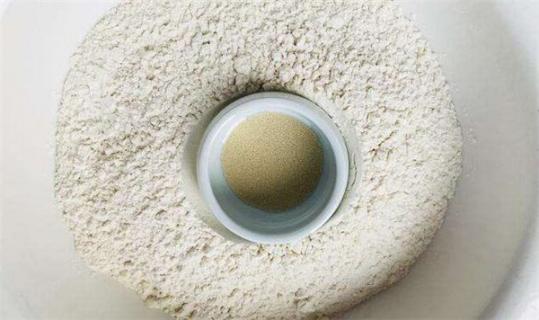 发酵粉的主要成分