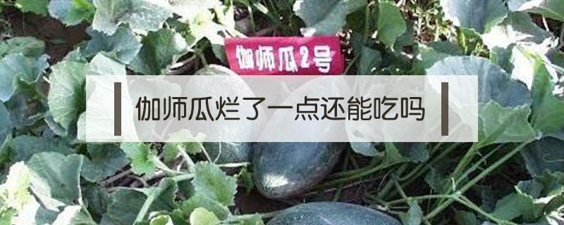 伽师瓜烂了一点还能吃吗