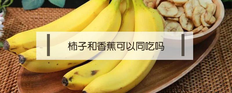 柿子和香蕉可以同吃吗（香蕉与柿子可以同吃吗）