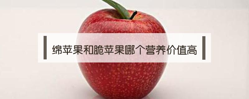 绵苹果和脆苹果哪个营养价值高 绵苹果和脆苹果哪个有营养