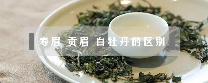 寿眉 寿眉是什么茶