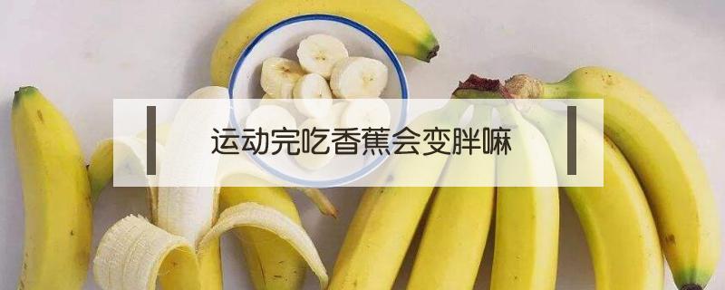 运动完吃香蕉会变胖嘛 减肥运动前吃香蕉还是运动后吃香蕉