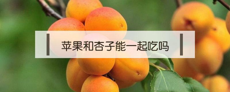苹果和杏子能一起吃吗 苹果和杏仁可以一起吃吗
