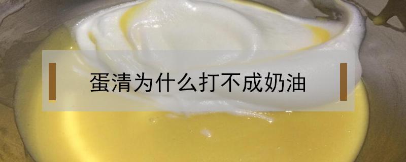 蛋清为什么打不成奶油 蛋清为什么打不成奶油的形状