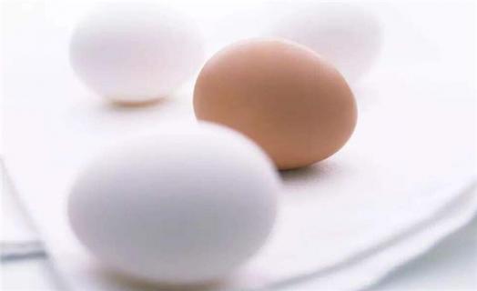 新鲜鸡蛋和不新鲜鸡蛋的区别 怎样区分新鲜的鸡蛋和不新鲜的