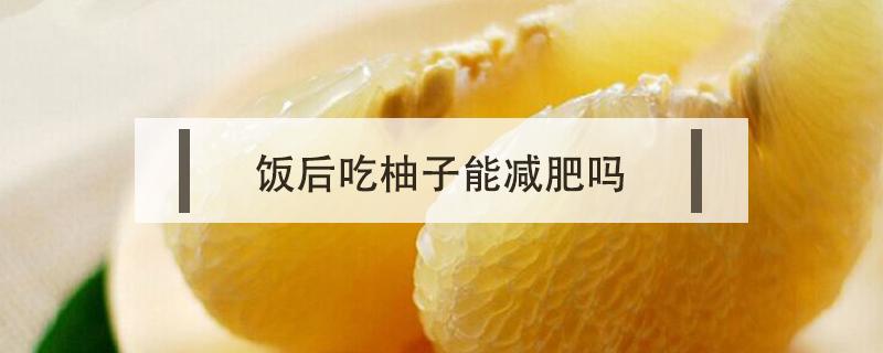饭后吃柚子能减肥吗 吃完晚饭吃柚子减肥吗