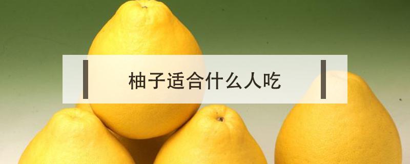 柚子适合什么人吃