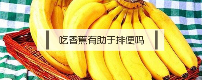 吃香蕉有助于排便吗 吃香蕉有助于排便吗蚂蚁