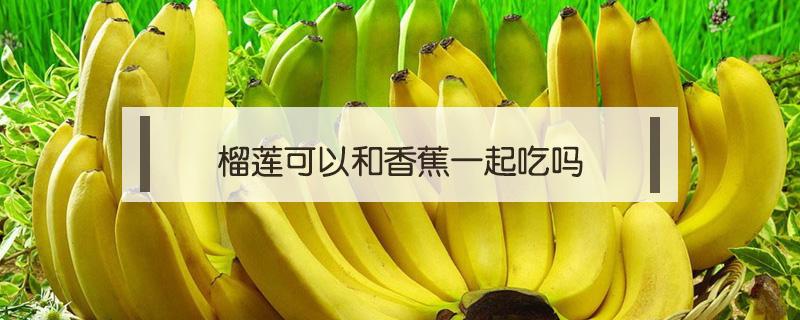 榴莲可以和香蕉一起吃吗 榴莲能和香蕉一起吃吗