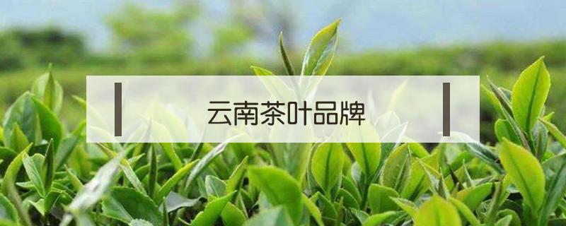 云南茶叶品牌