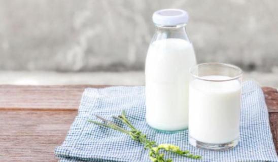 伊利高钙奶和纯牛奶区别