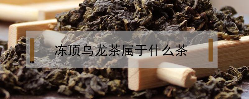 冻顶乌龙茶属于什么茶