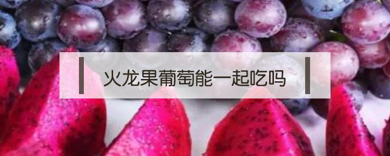 火龙果葡萄能一起吃吗 火龙果跟葡萄可以一起吃吗