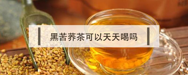 黑苦荞茶可以天天喝吗（黑苦荞茶可以天天喝吗?会有副作用吗?）