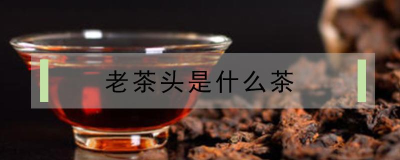 老茶头是什么茶（老茶头）