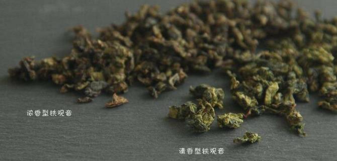 铁观音是红茶还是绿茶