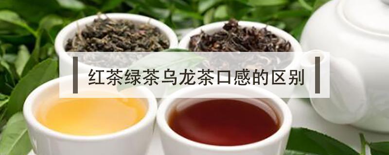 红茶绿茶乌龙茶口感的区别（乌龙茶和红茶的口感）