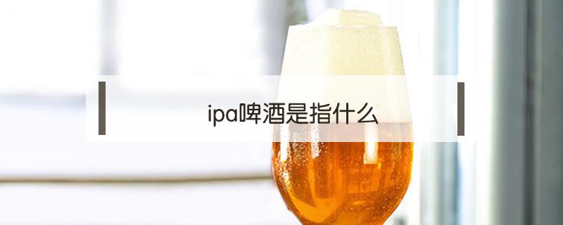 ipa啤酒是指什么 ipa啤酒的全称是什么