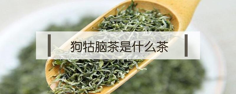 狗牯脑茶是什么茶（狗牯脑茶是什么茶树品种）