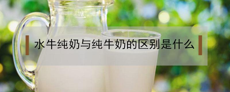 水牛纯奶与纯牛奶的区别是什么 水牛奶适合孩子喝吗