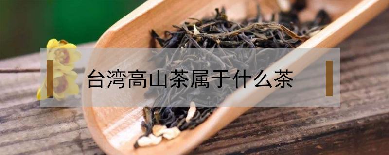 台湾高山茶属于什么茶（台湾高山茶属于什么茶有什么用）