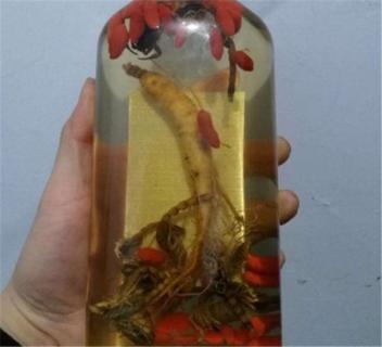 活蝎子能直接泡酒吗