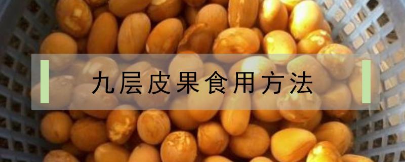 九层皮果食用方法 九层皮果怎么做好吃