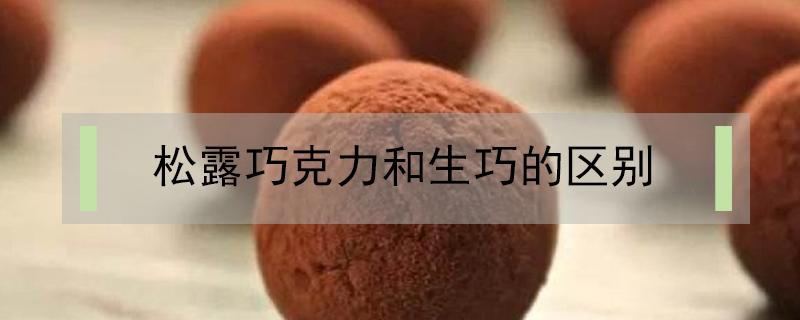 松露巧克力和生巧的区别