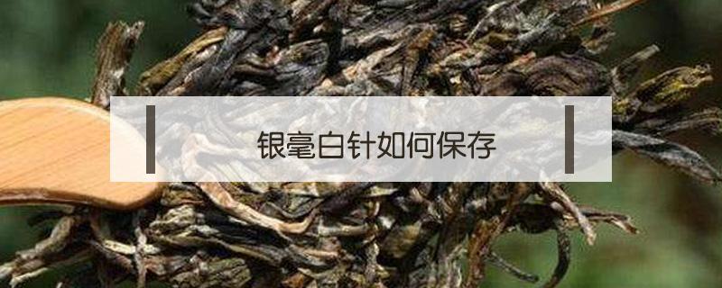 银毫白针如何保存（白毫银针怎样保存）