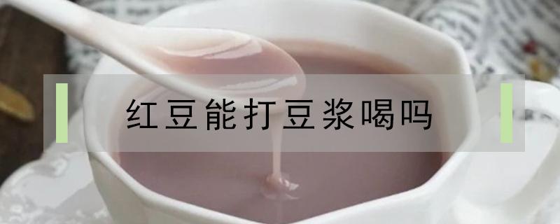 红豆能打豆浆喝吗