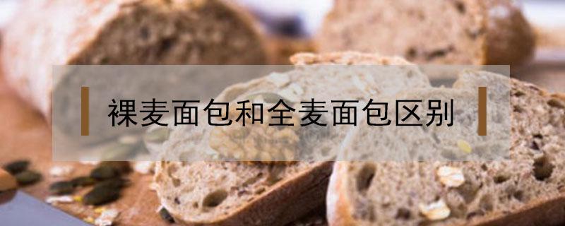 裸麦面包和全麦面包区别（什么是裸麦面包）