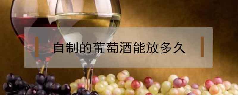 自制的葡萄酒能放多久 自己酿制的葡萄酒能放多久