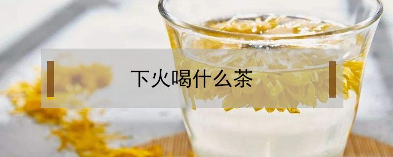 下火喝什么茶（下火喝什么茶叶）