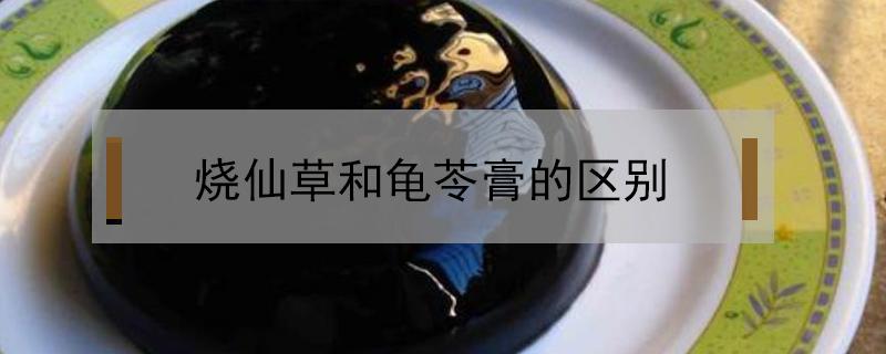 烧仙草和龟苓膏的区别