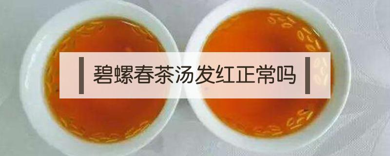 碧螺春茶汤发红正常吗