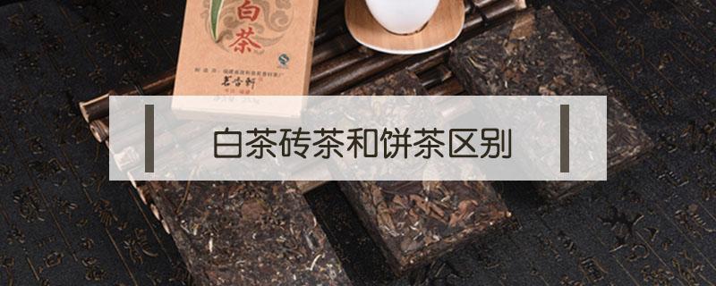 白茶砖茶和饼茶区别 白茶和砖茶一样吗