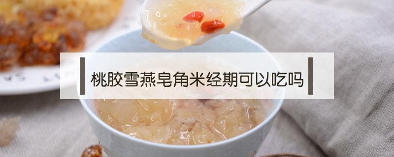 桃胶雪燕皂角米经期可以吃吗（桃胶雪燕皂角米生理期可以吃吗）