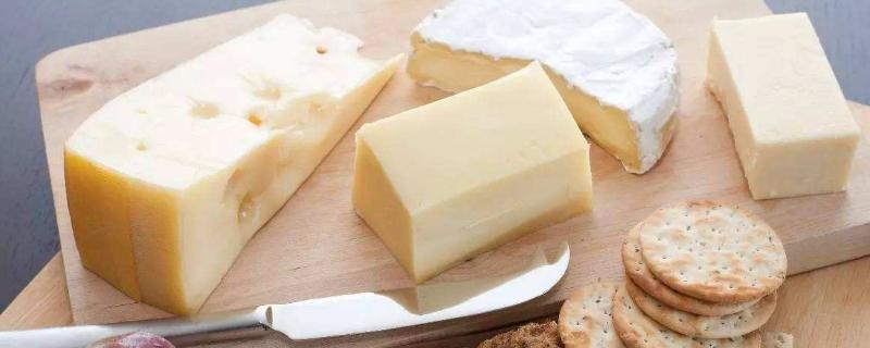 奶酪怎么保存不会坏 奶酪怎么保存不会坏掉