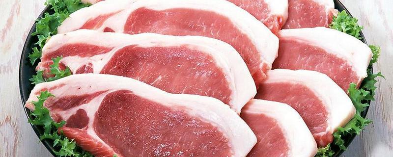 怎样识别土猪肉 怎样分辨猪婆肉还是土猪肉