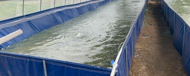 帆布养鱼池可以养殖吗，如何安装 帆布养鱼池可以养殖吗,如何安装鱼缸