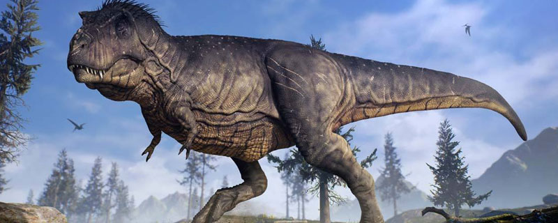 恐龙的体型有多大 恐龙的体型有多大用说明方法