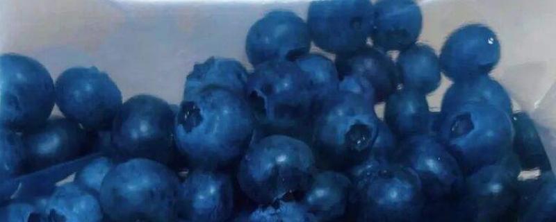 蓝莓储存保鲜方法，保存期限是多久